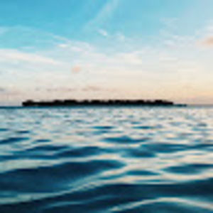 Meet your Posher, Alanis